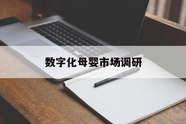 铜川市数字化母婴市场调研(数字化母婴市场调研报告)
